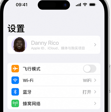 蒙山appleID维修服务iPhone设置中Apple ID显示为灰色无法使用