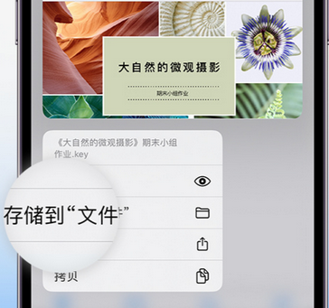 蒙山apple维修中心分享iPhone文件应用中存储和找到下载文件