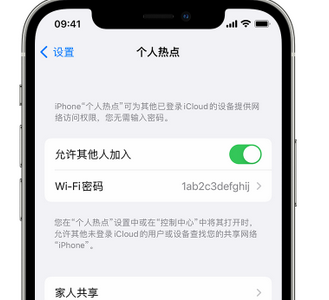 蒙山apple服务站点分享iPhone上个人热点丢失了怎么办