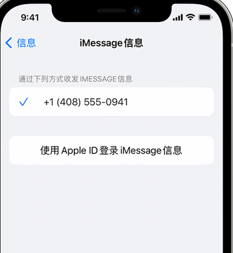 蒙山apple维修iPhone上无法正常发送iMessage信息 