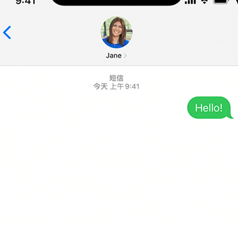 蒙山apple维修iPhone上无法正常发送iMessage信息