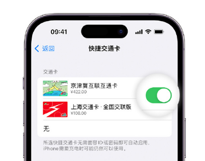 蒙山apple维修点分享iPhone上更换Apple Pay快捷交通卡手绘卡面 