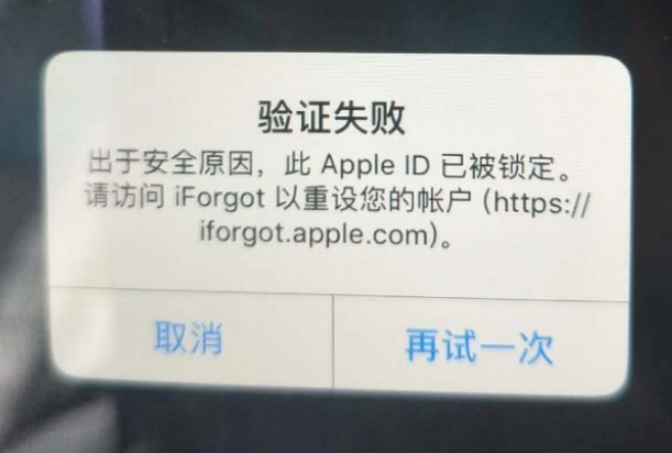 蒙山iPhone维修分享iPhone上正常登录或使用AppleID怎么办 