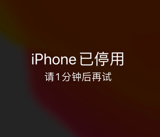 蒙山苹果手机维修分享:iPhone 显示“不可用”或“已停用”怎么办？还能保留数据吗？ 