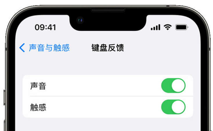 蒙山苹果手机维修分享iPhone 14触感键盘使用方法 