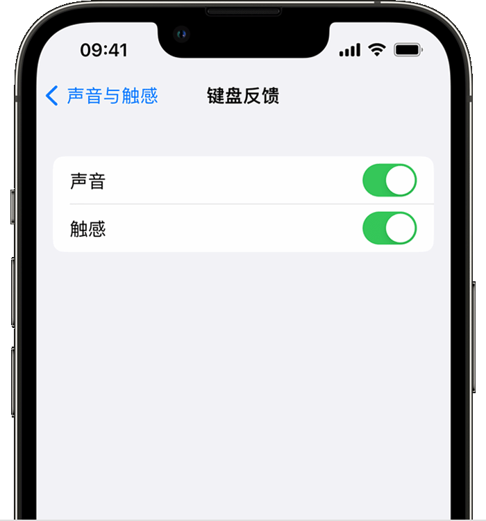 蒙山苹果14维修店分享如何在 iPhone 14 机型中使用触感键盘 