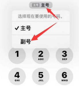 蒙山苹果14维修店分享iPhone 14 Pro Max使用副卡打电话的方法 