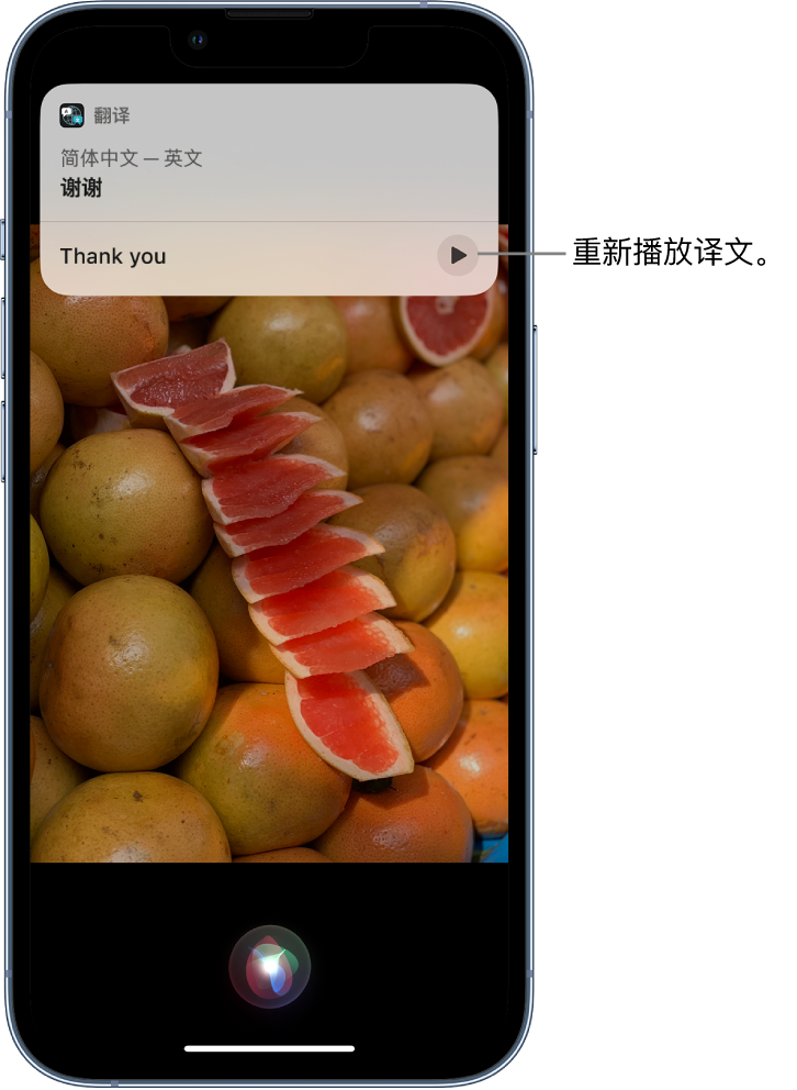 蒙山苹果14维修分享 iPhone 14 机型中使用 Siri：了解 Siri 能帮你做什么 