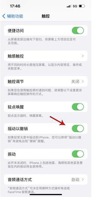 蒙山苹果手机维修分享iPhone手机如何设置摇一摇删除文字 